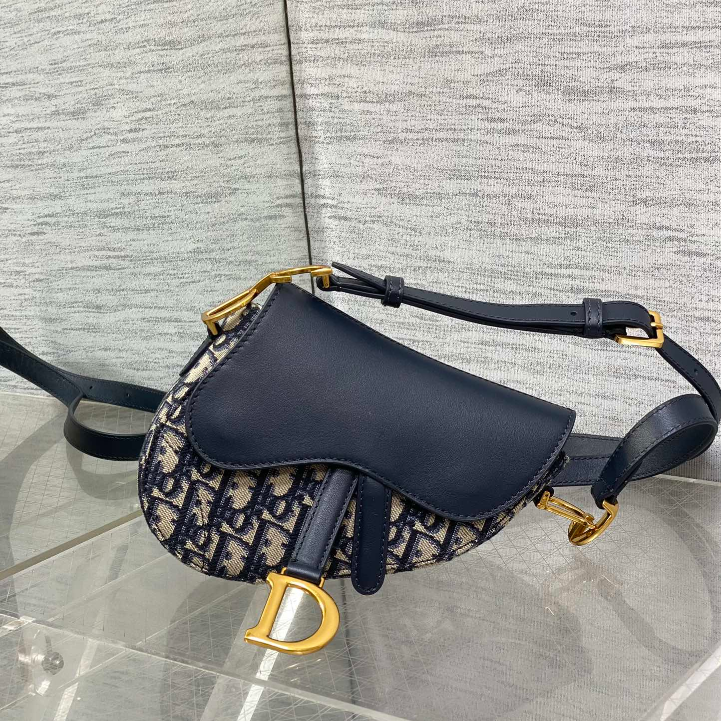 Dior Saddle Series Saddle Bag
