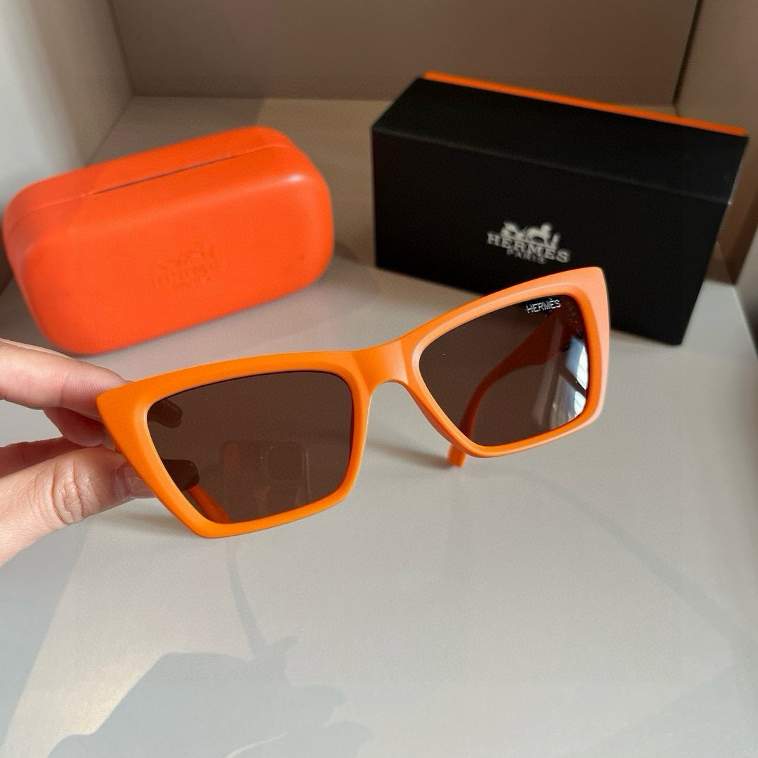 Hermes polarized sunglasses