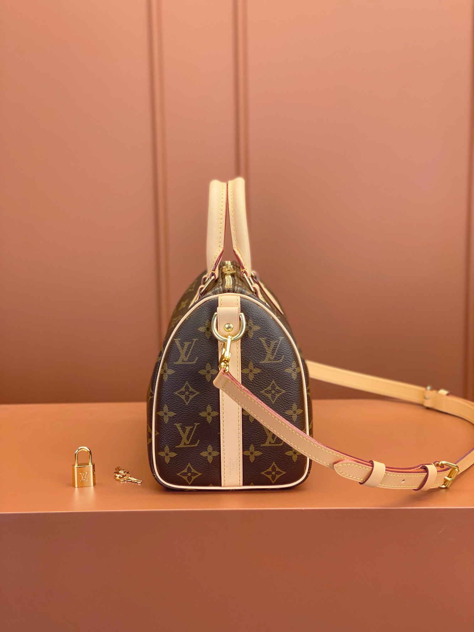 Louis Vuitton SPEEDY 25 Handbag M41113