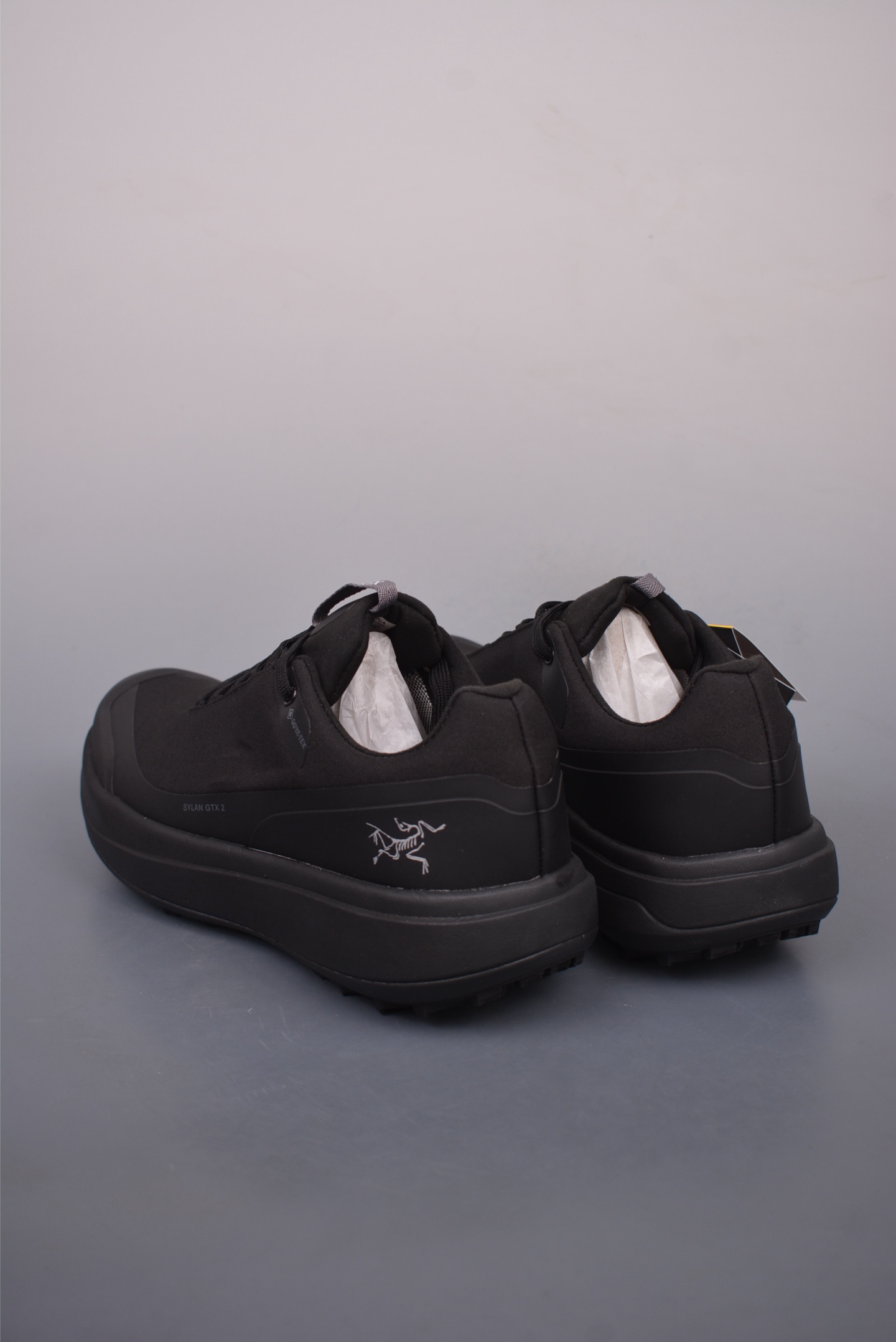 Arc'teryx Sylan GTX Running Shoes Black 077218