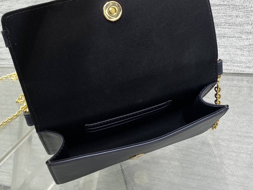 Dior 30 Montaigne Cigale Chain Bag
