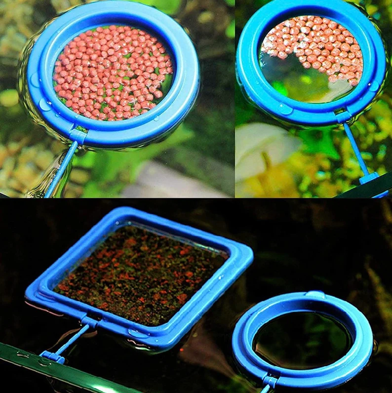 Fish Tank Ring Feeder Feeding Station