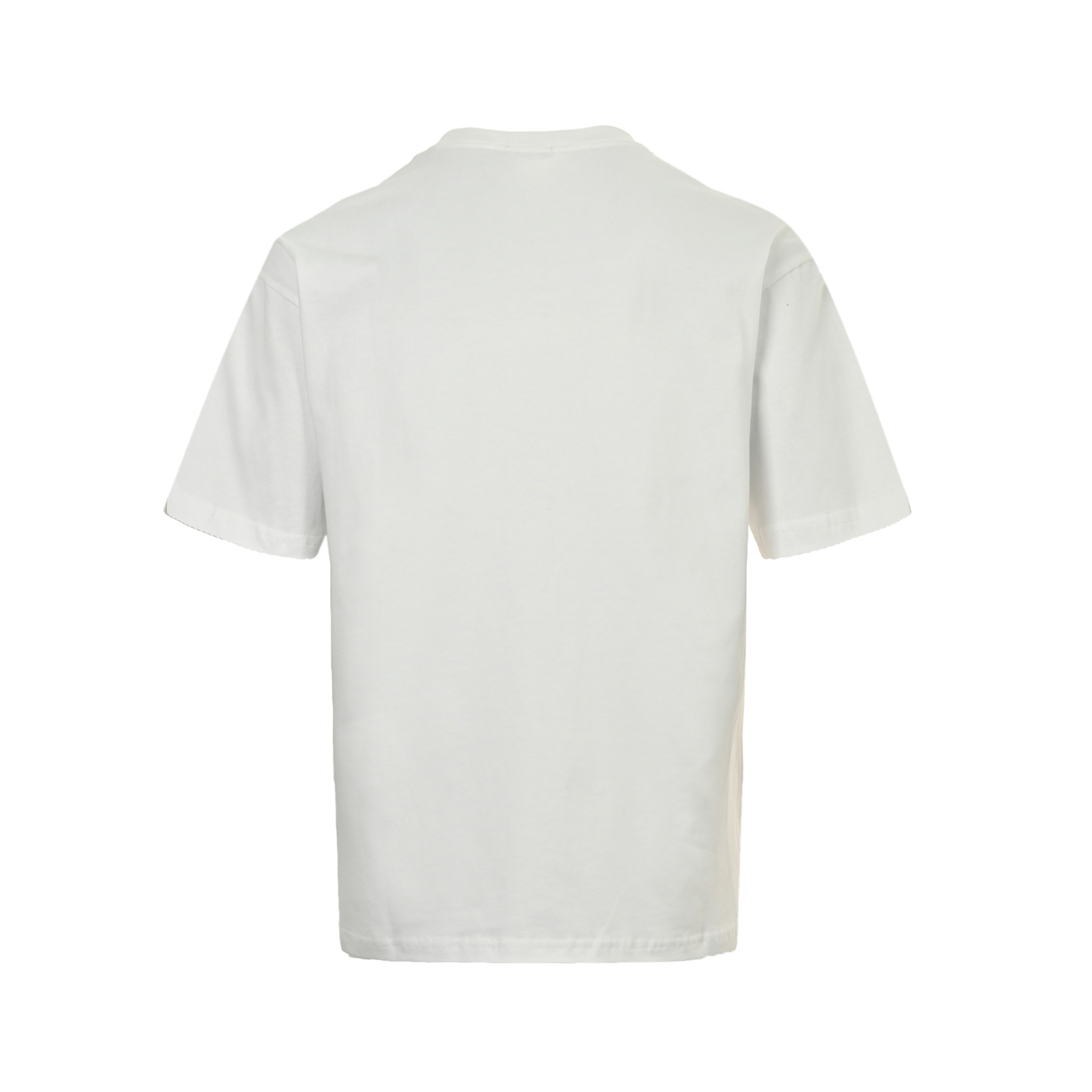 Dior 25ss Hamilton collaboration embroidered short sleeve