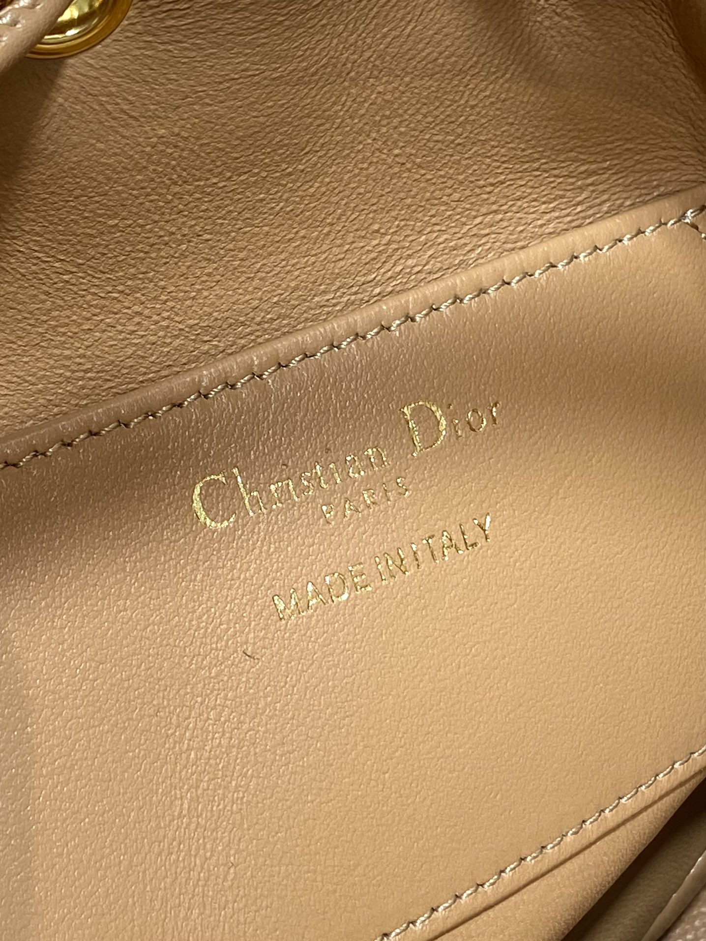 Dior micro Caro bucket bag