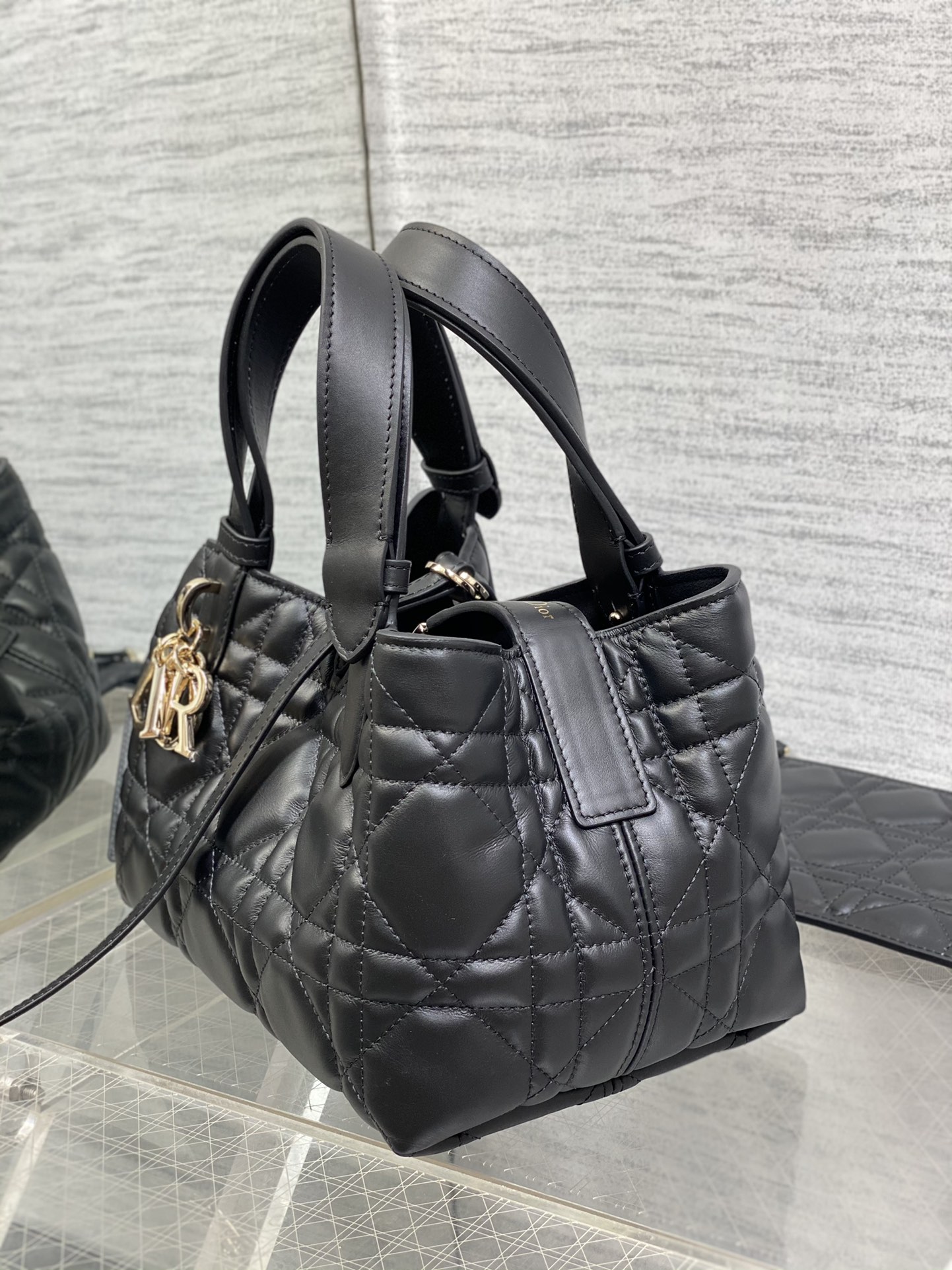 Dior Toujours Small Bag