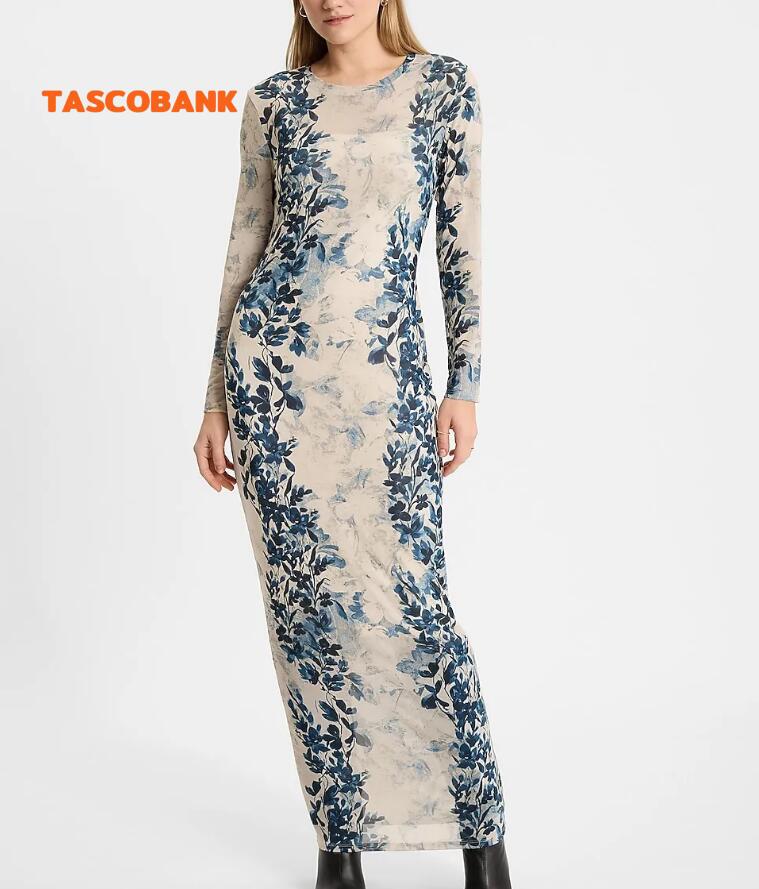 Printed Mesh Crew Neck Long Sleeve Maxi Dress