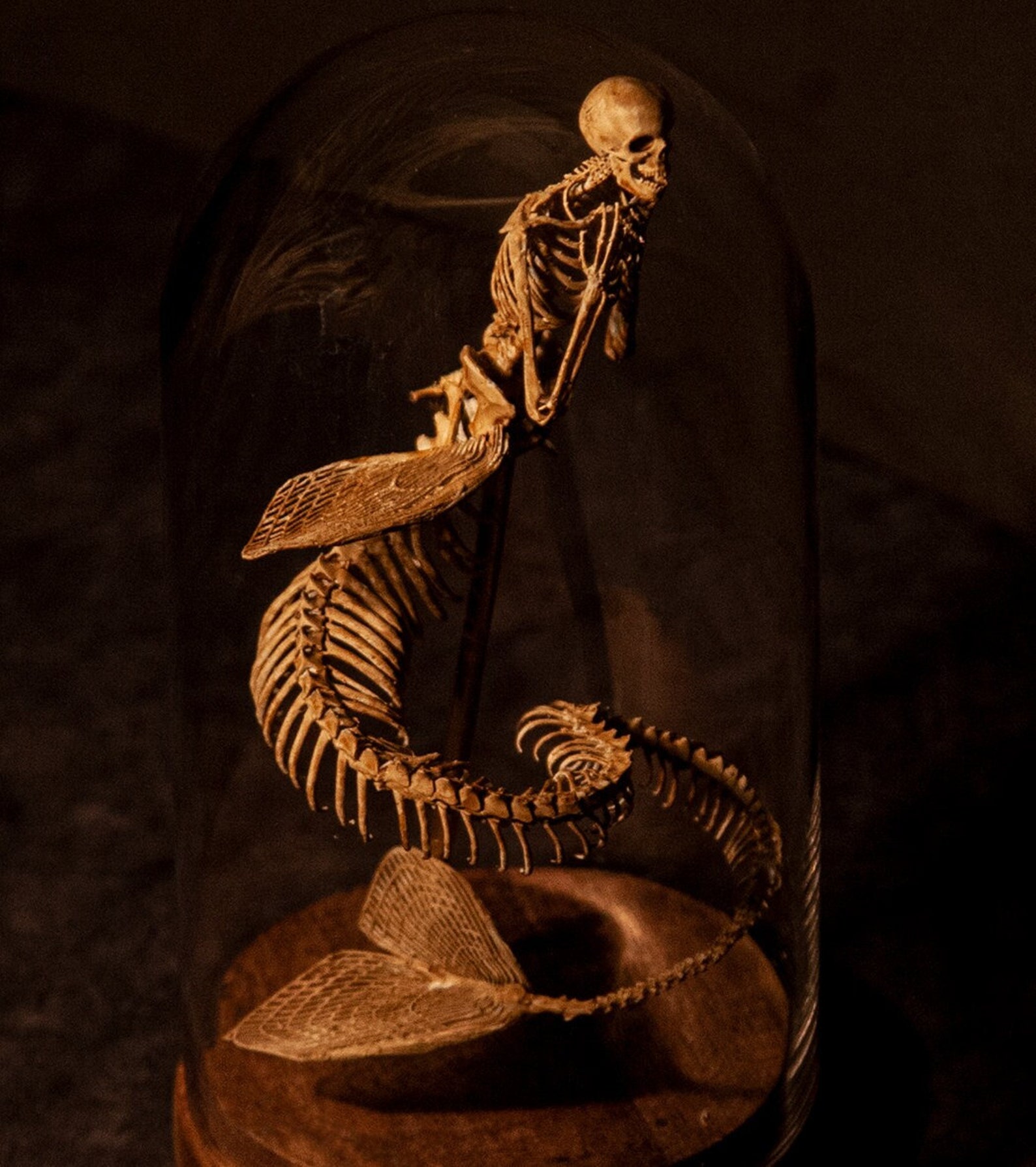👍Last Day Promotion 60% OFF💥WENDIGO SKELETON CURIOSITY CABINET