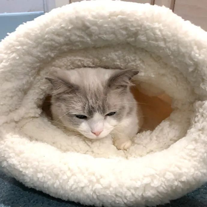 Flash Sale 49% OFF-Cat Sleeping Bag Small Dog Kennel