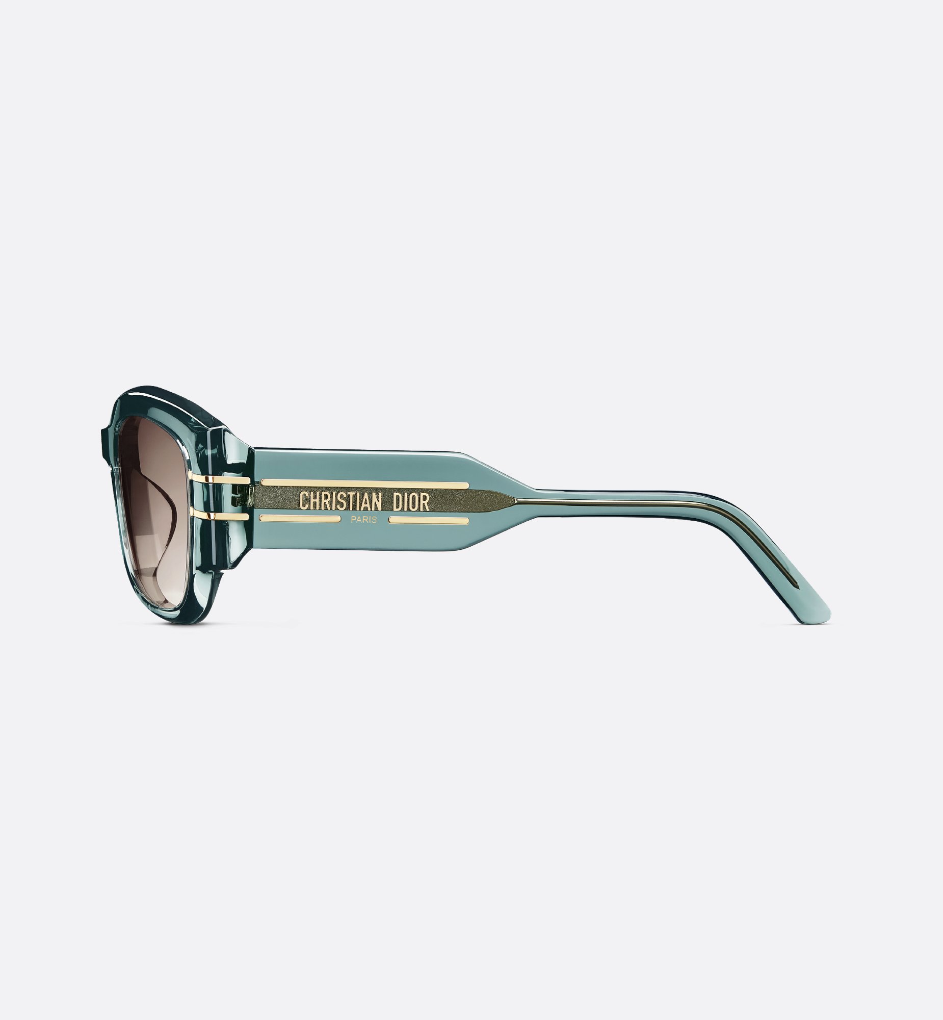 Dior DiorSignature S13F Sunglasses SGTS13FXR_55F2