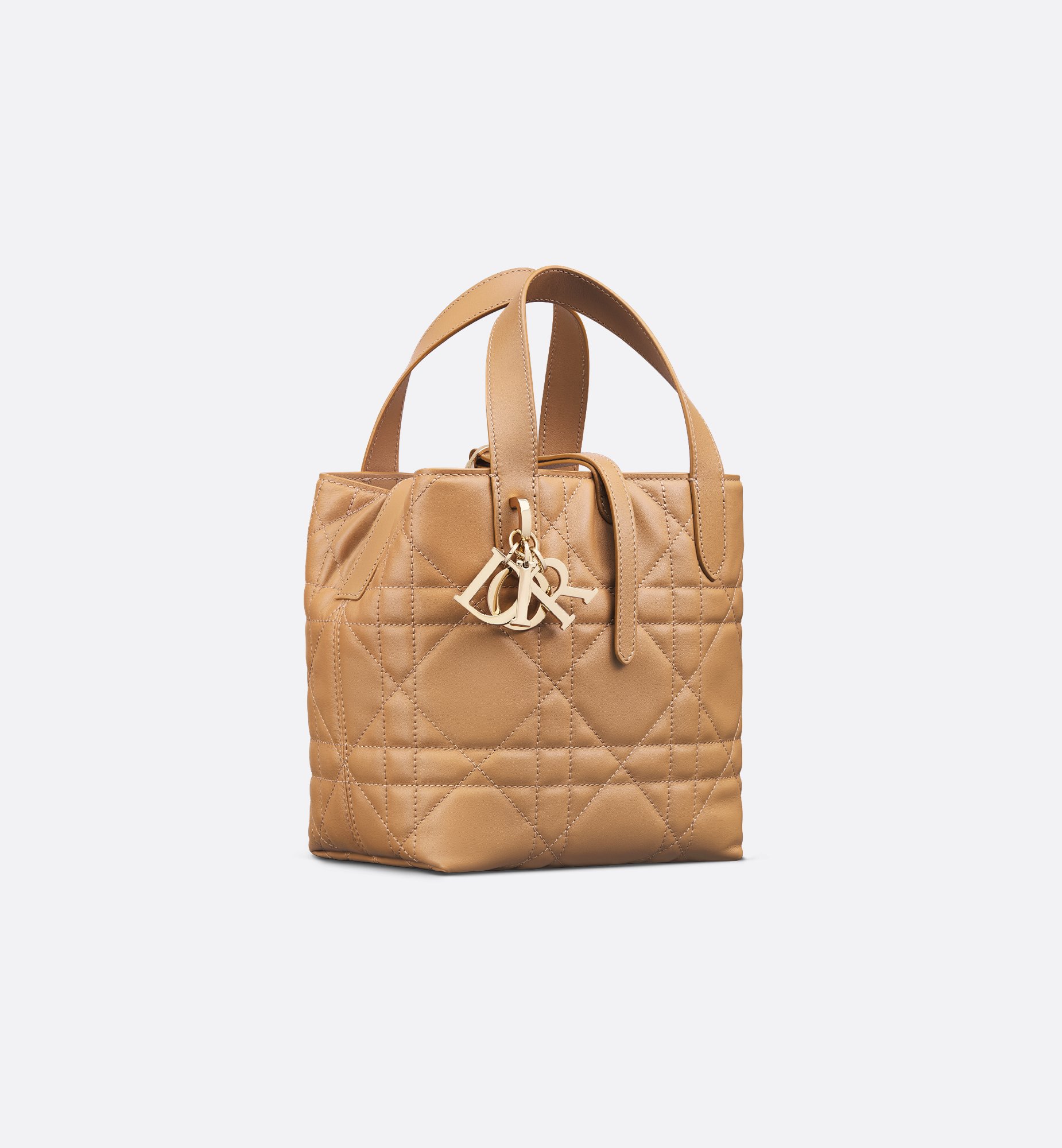 Dior Small Dior Toujours Vertical Bag M2835OSNW_M53U