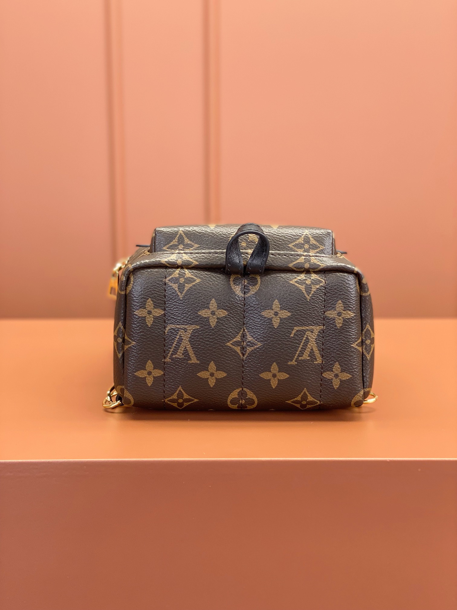 Louis Vuitton PALM SPRINGS Mini Backpack M44873