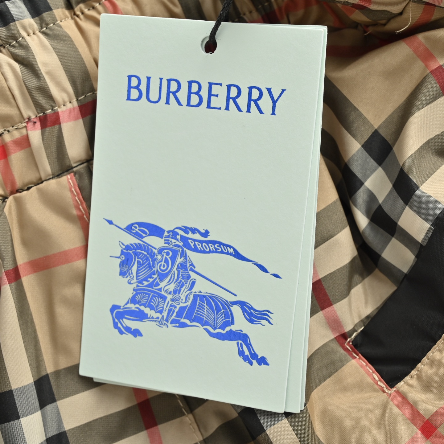 Burberry 25ss check reversible shorts