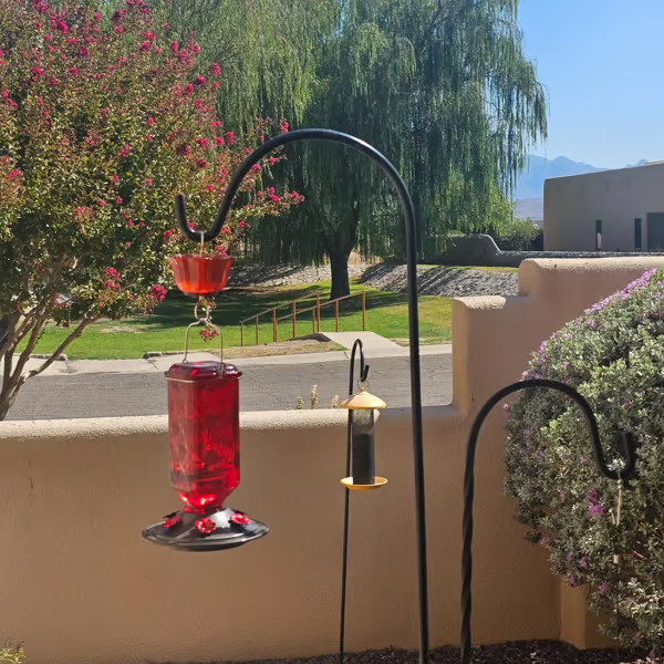 🔥HOT SALE 50% OFF🔥New Hanging Outdoor Glass Hummingbird Feeder With Perch And Built-in Ant Moat🐦