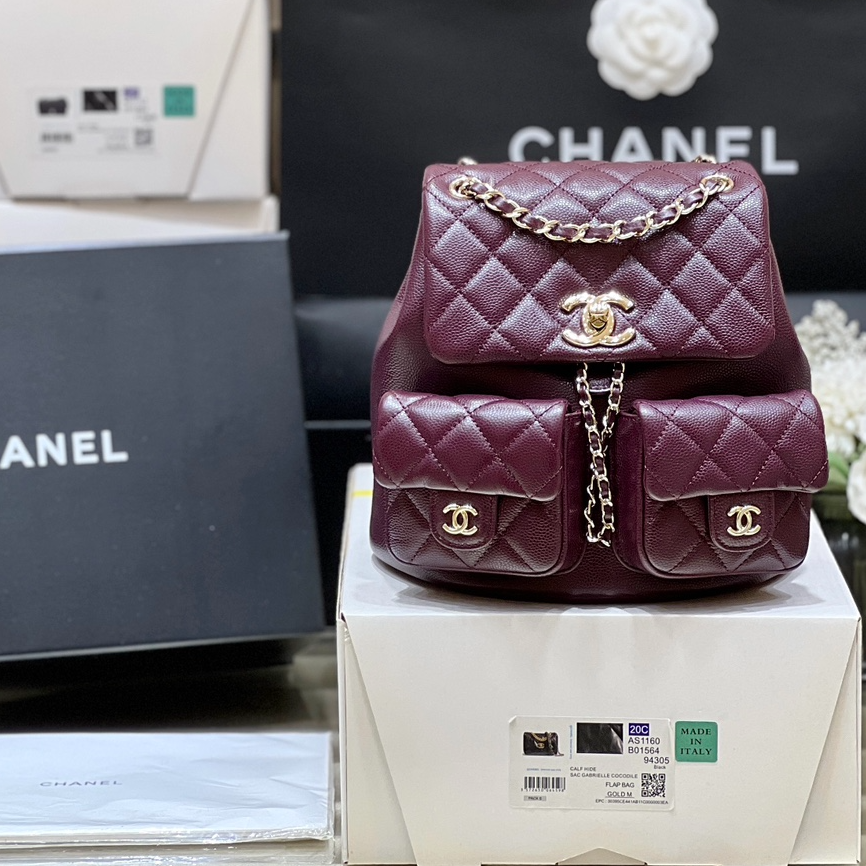 Chanel 24A duma double backpack 3860