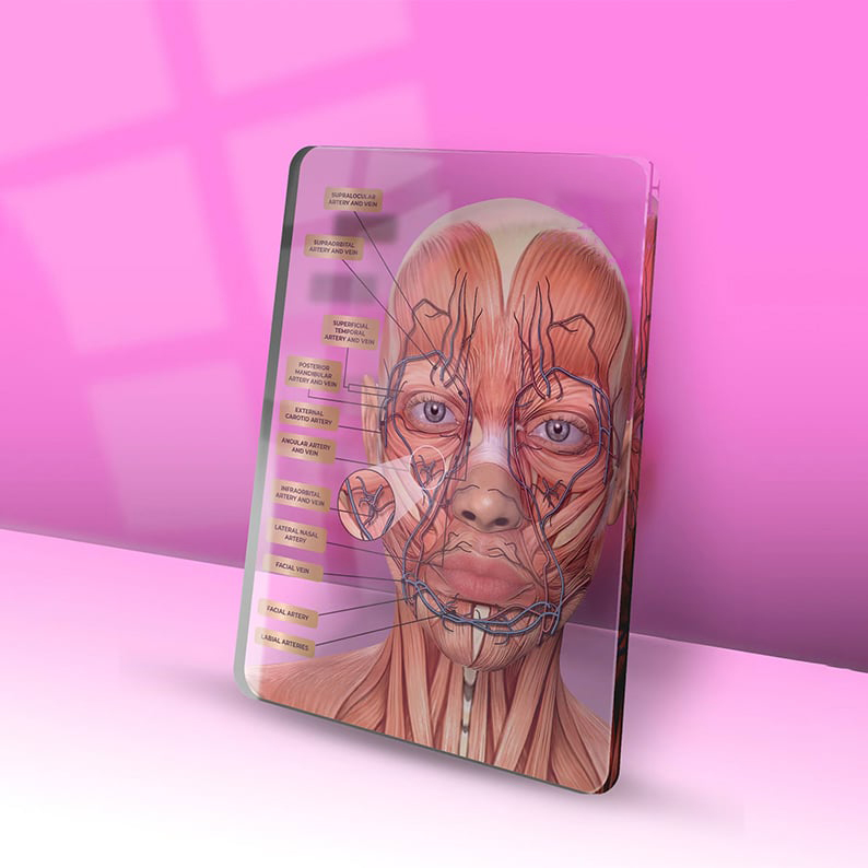 Veins & Arteries Aesthetics Training Academy