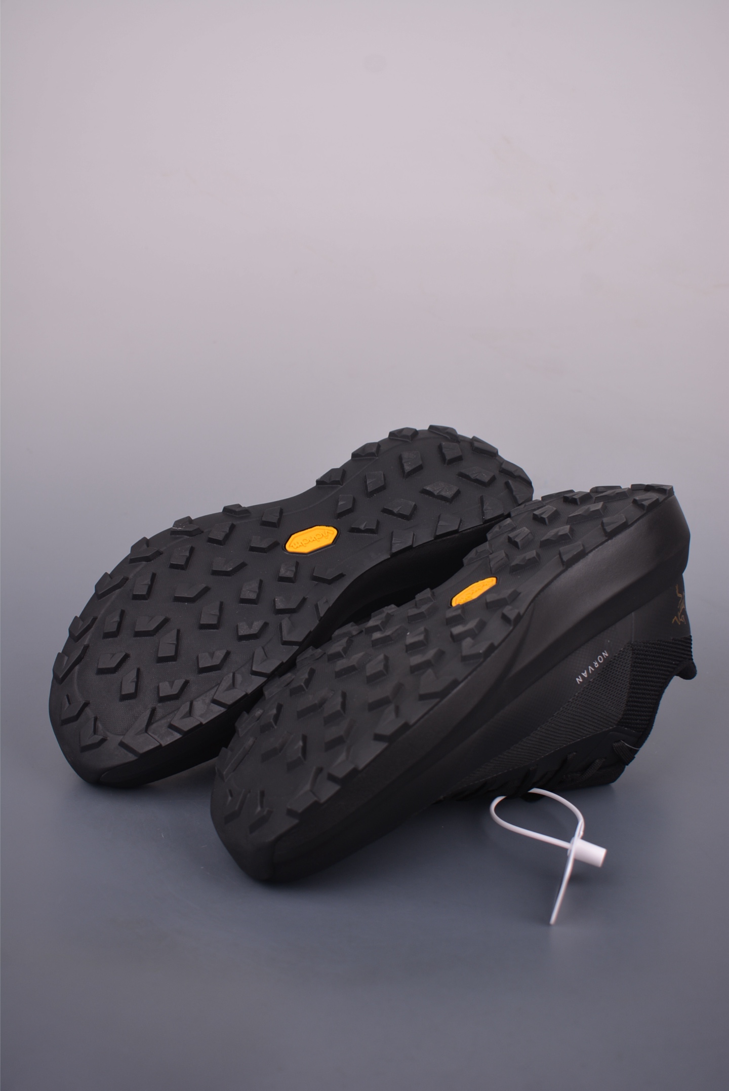 Arc'teryx NORVAN LD 4 GTX running shoes 