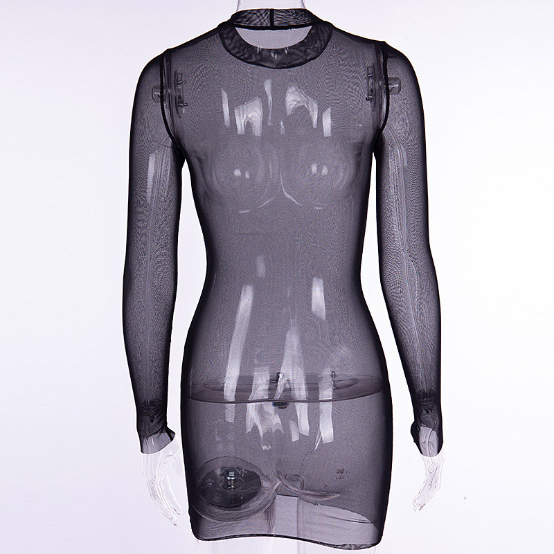 See Through Mesh Long Sleeve Dress