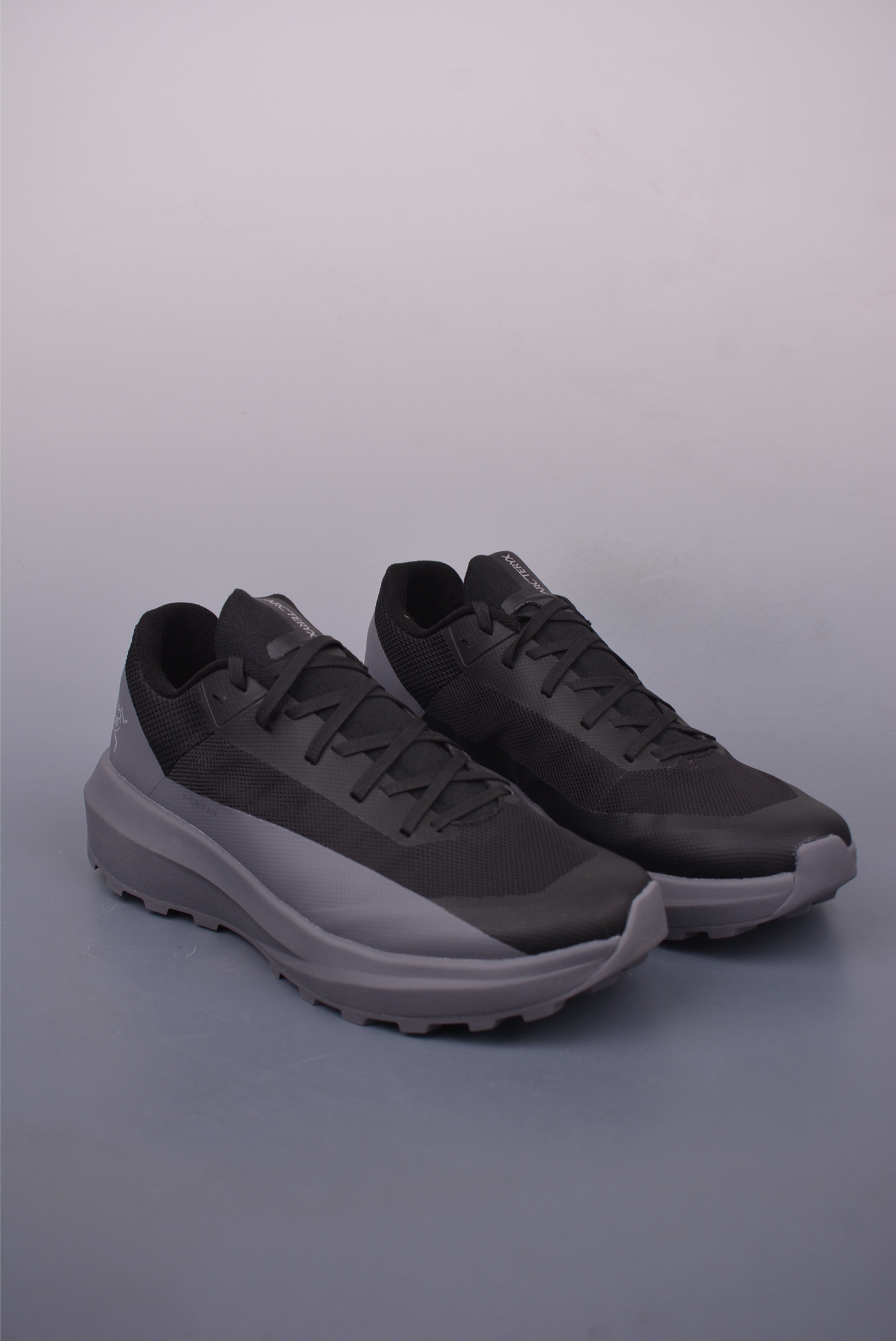 Arc'teryx Norvan LD 4 