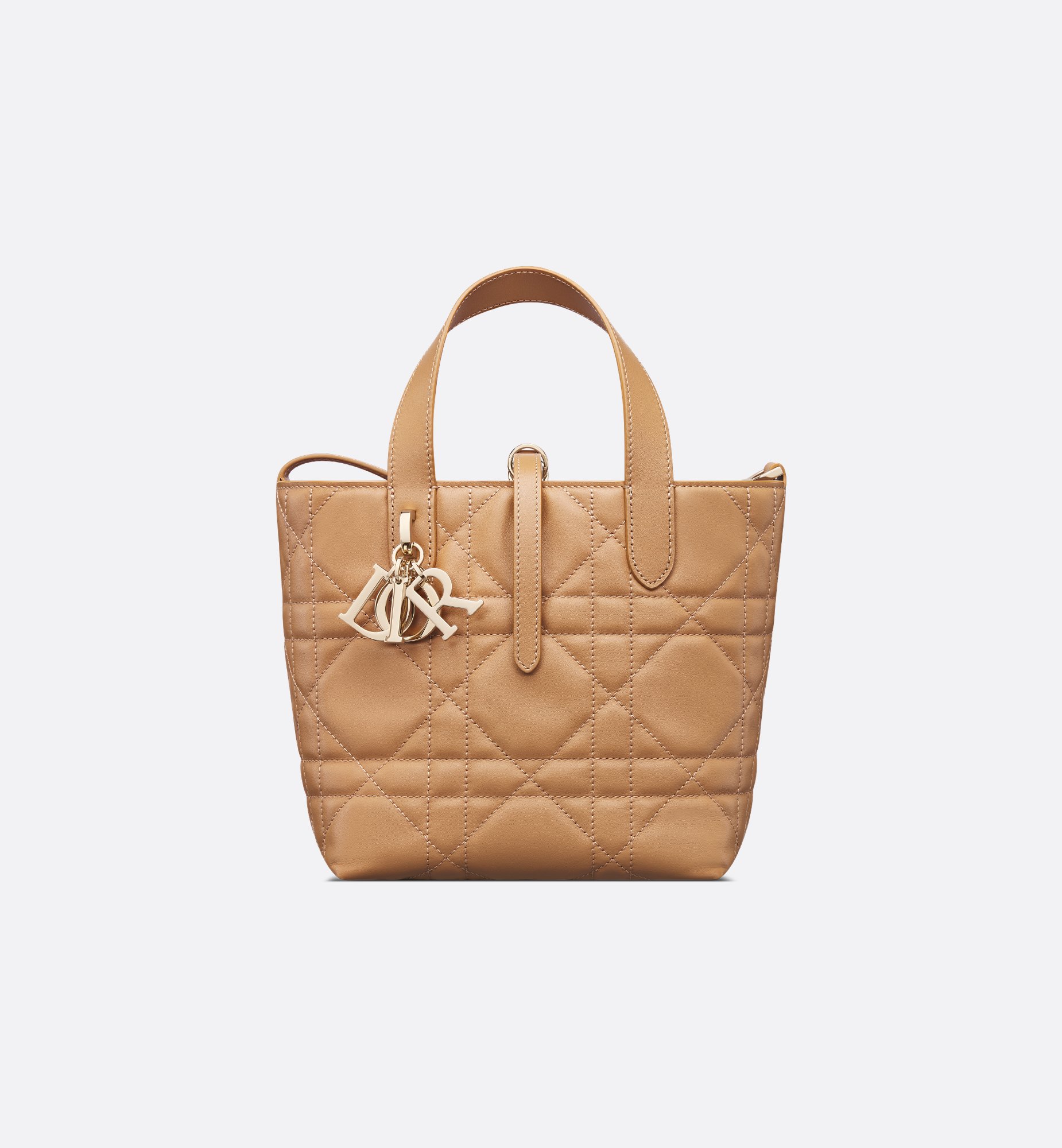 Dior Small Dior Toujours Vertical Bag M2835OSNW_M53U
