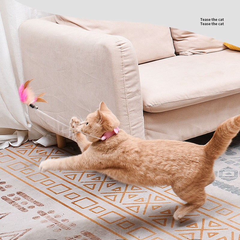 💥50% OFF--Last Day Sale🔥--Interactive Funny Cat Toys--BUY 5 GET 5 FREE & FREE SHIPPING