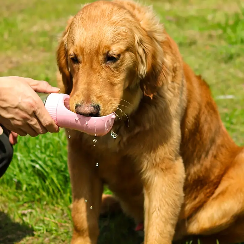 🐶🐶Pet Water Bottle
