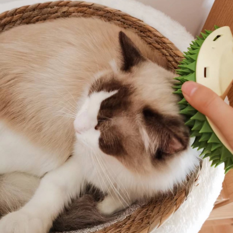 🔥Last Day Promotion 50% OFF🔥-Durian Teeth Grinding Slow Eating Scratch Itching Comb-BUY 2 GET 1 FREE NOW