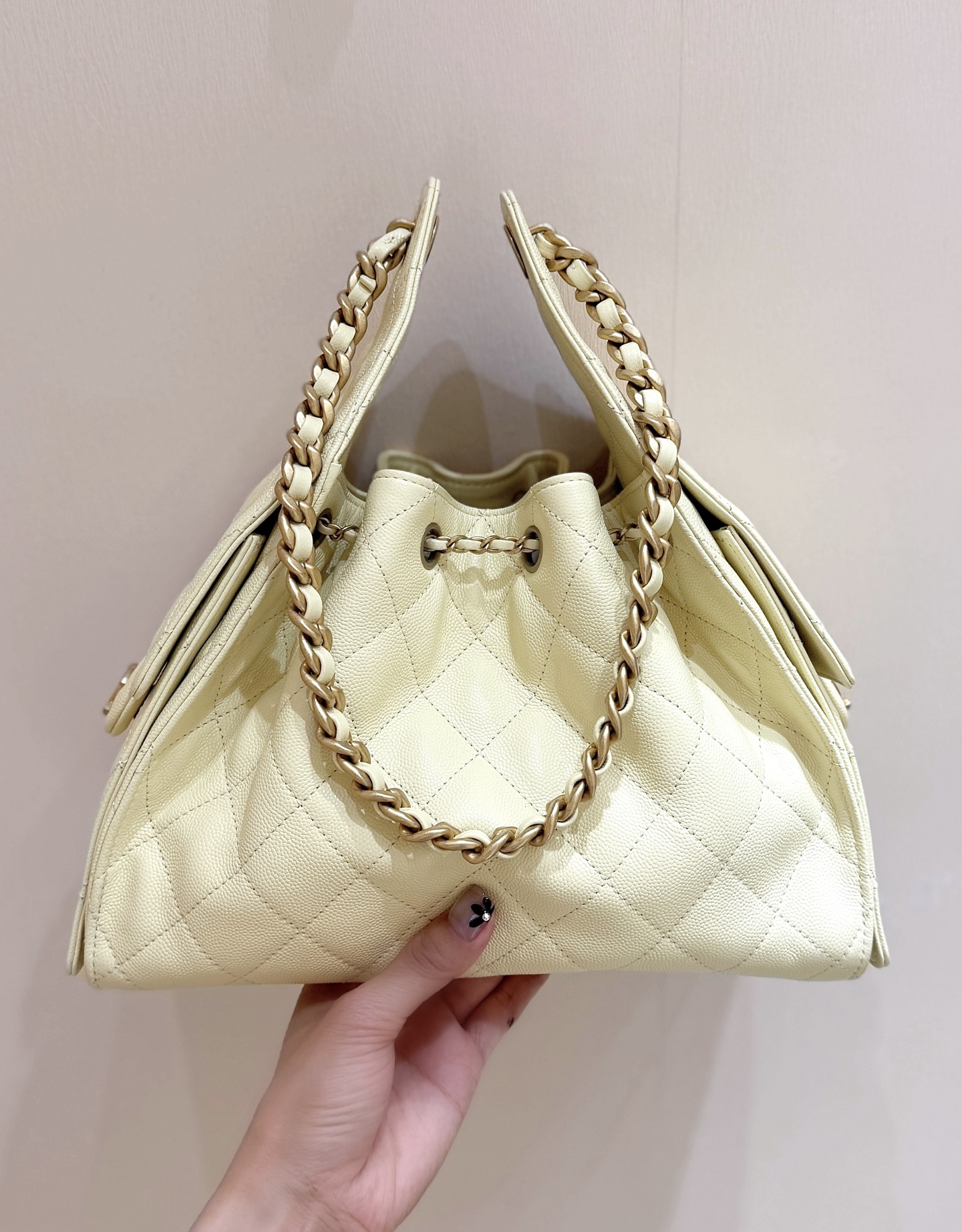 Chanel 25S Spring/Summer Collection Handbag AS5293 00158