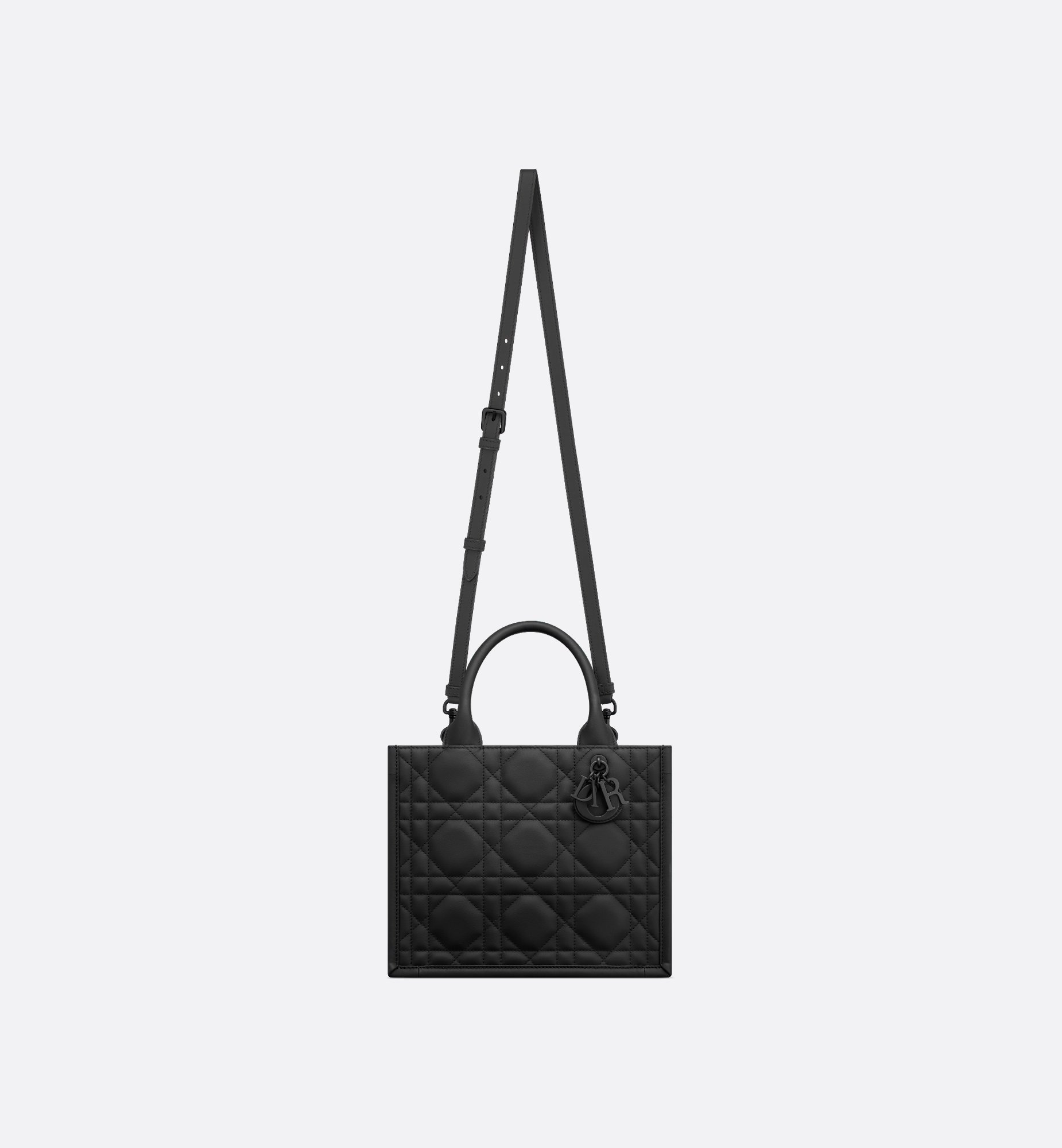 Dior Small Book Tote M1325SLOI_M900
