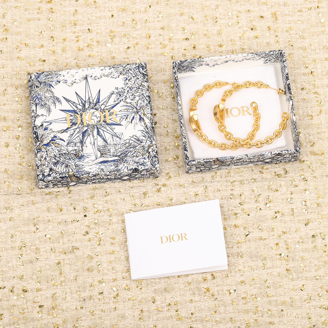 Dior Letter Chain Earrings