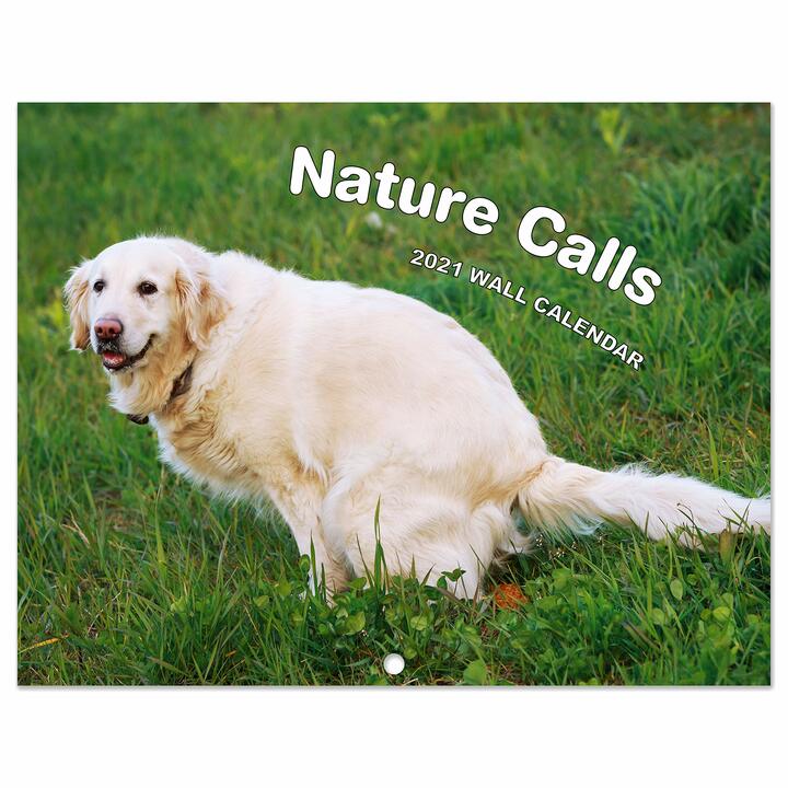 2021 Pooping Pooches White Elephant Gag Gift Calendar Calendar