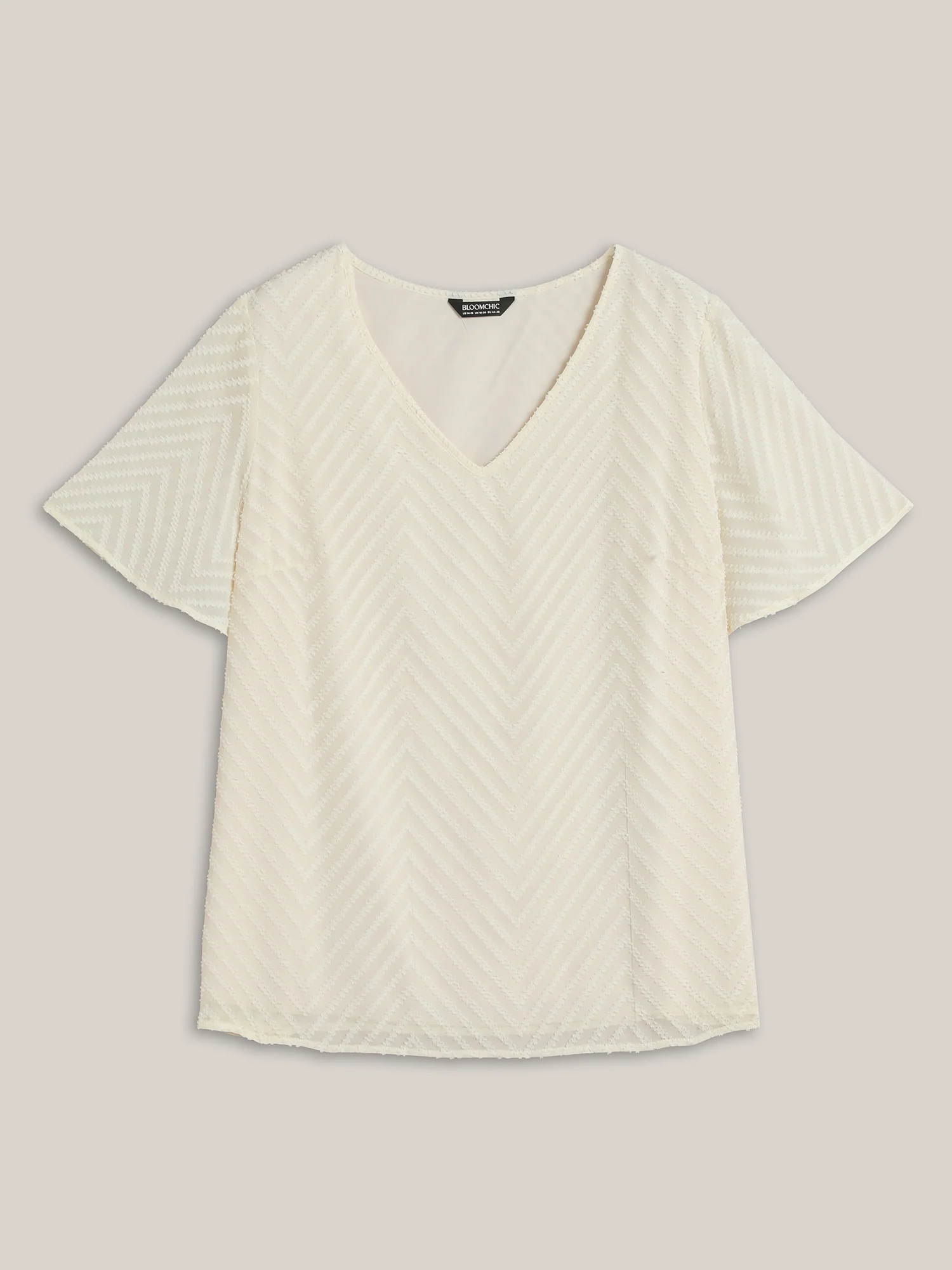 Textured Sheer Ruffled Sleeve Blouse