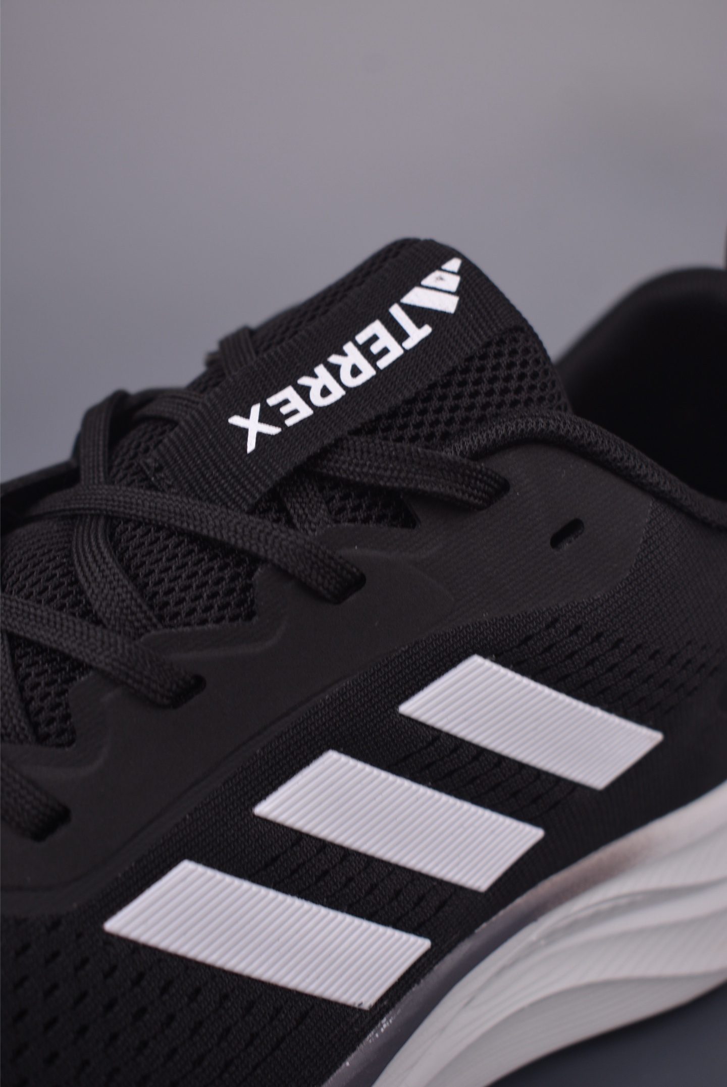 Adidas TERREX GORE-TEX 