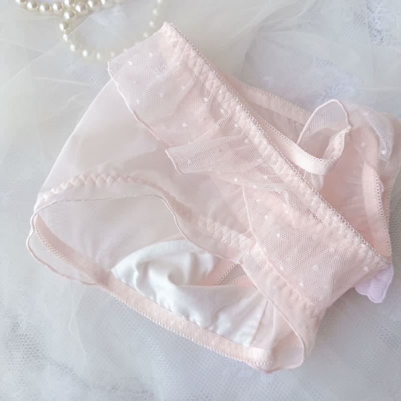 Wings Decor Lace Mesh Panty