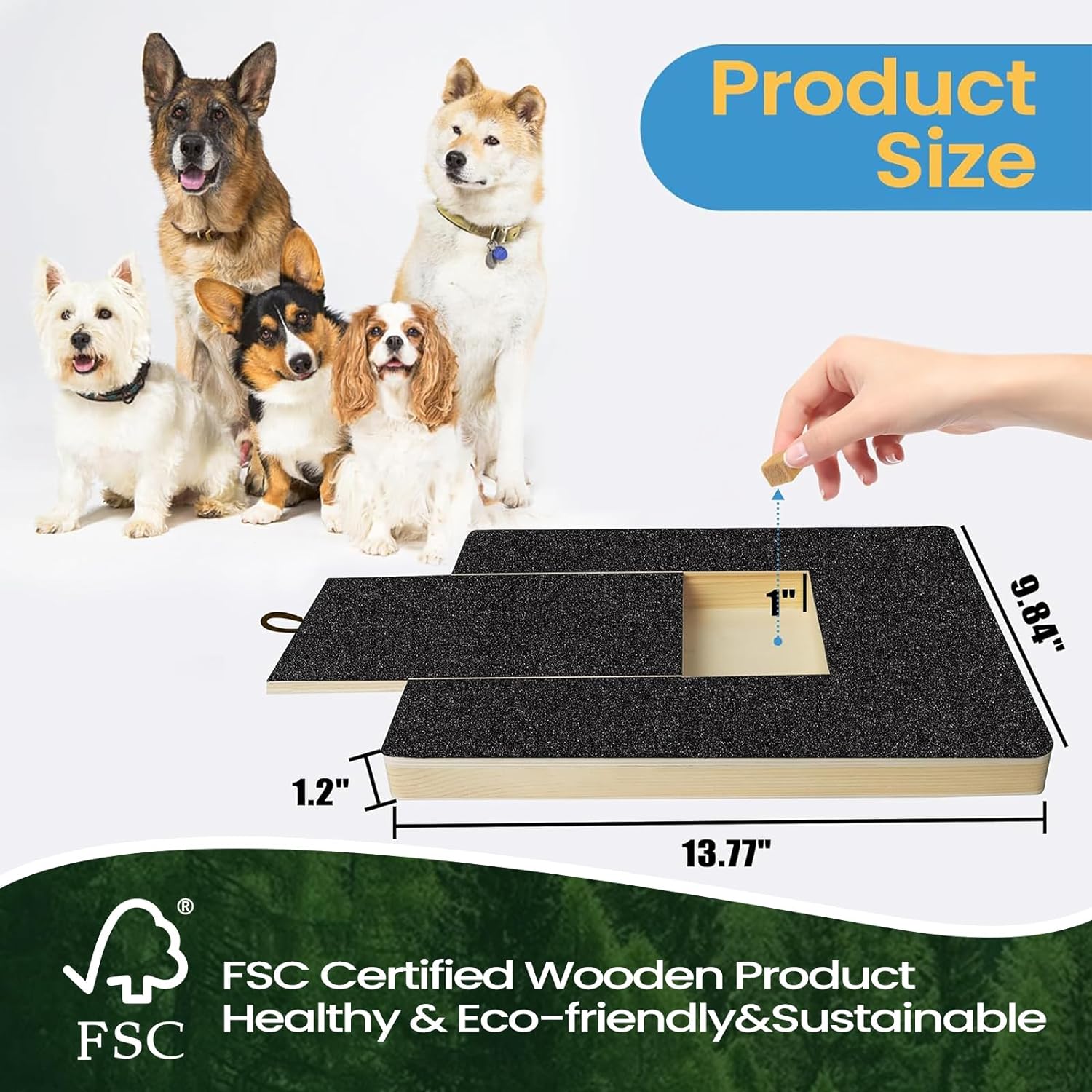 🔥Dog Paw Nail Scratch Pad - Dog Scratch Pad with Treat Box