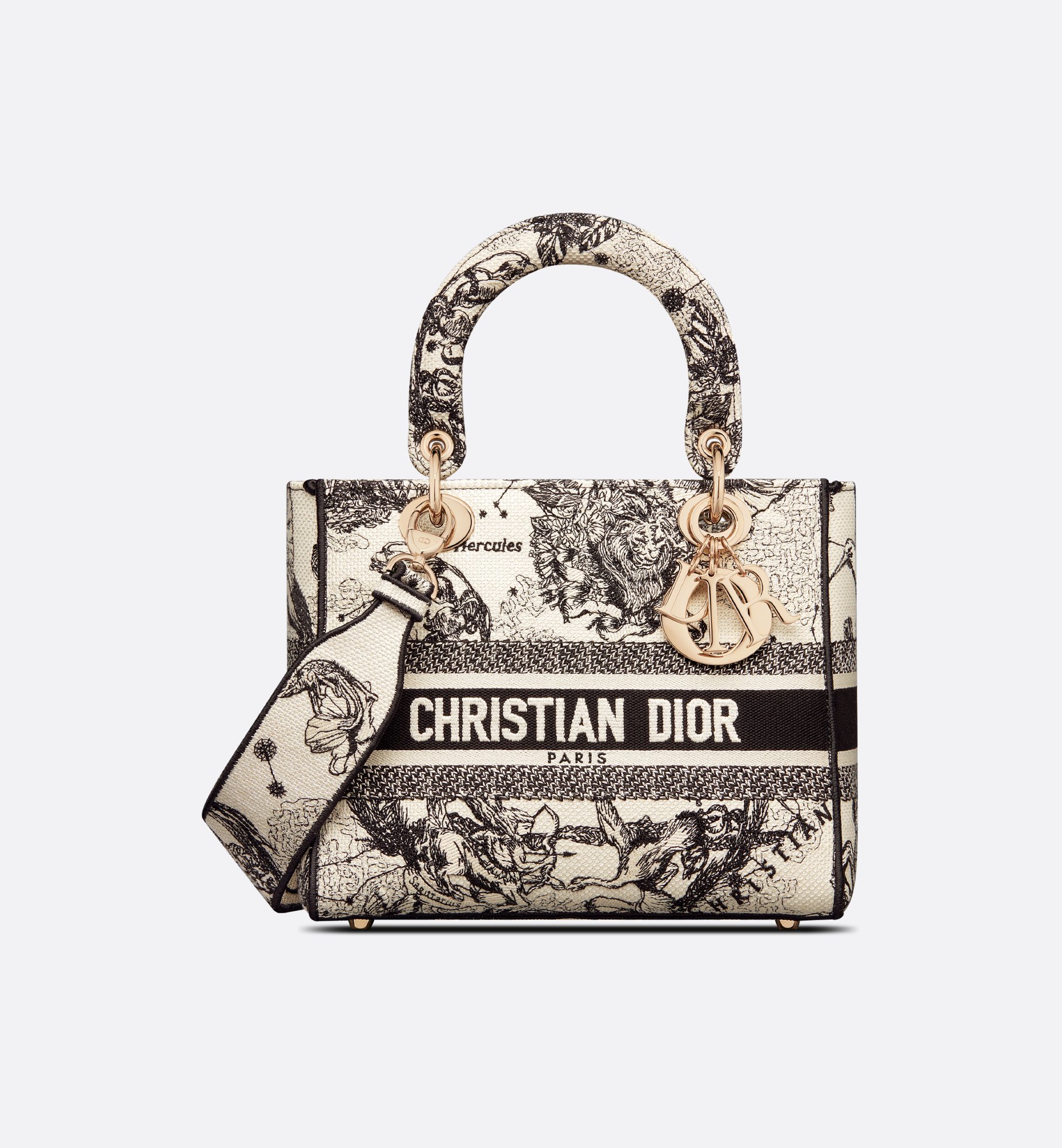 Dior Medium Lady D-Lite Bag M0565ORHZ_M941
