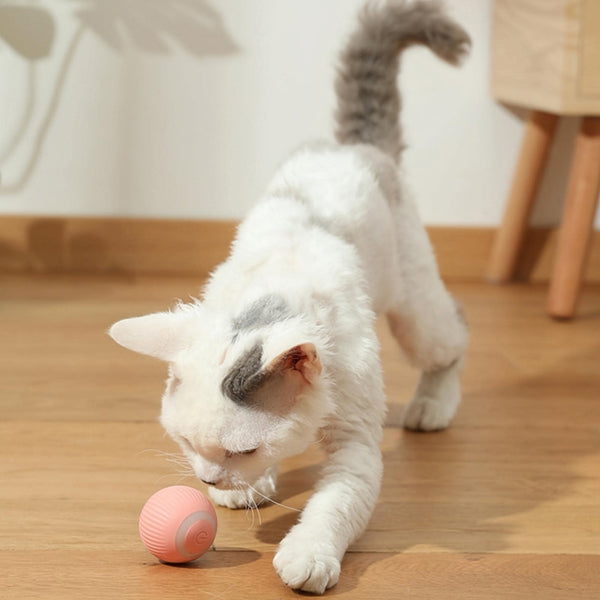 Rolling Smart Ball For Cat