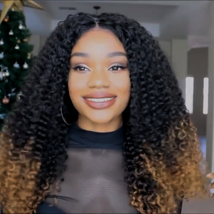 Natural Wig, Best Wig Ever Type Hair