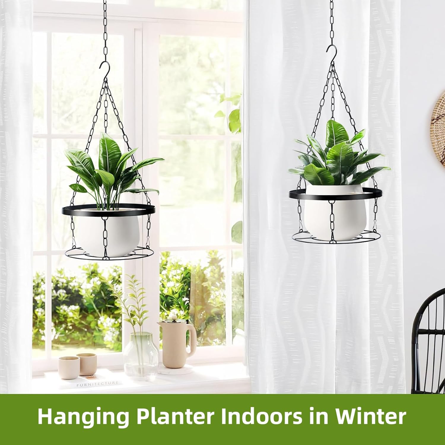 🔥HOT SALE🔥Metal Hanging Plant Holder and Glass Hummingbird Feeder 2-in-1
