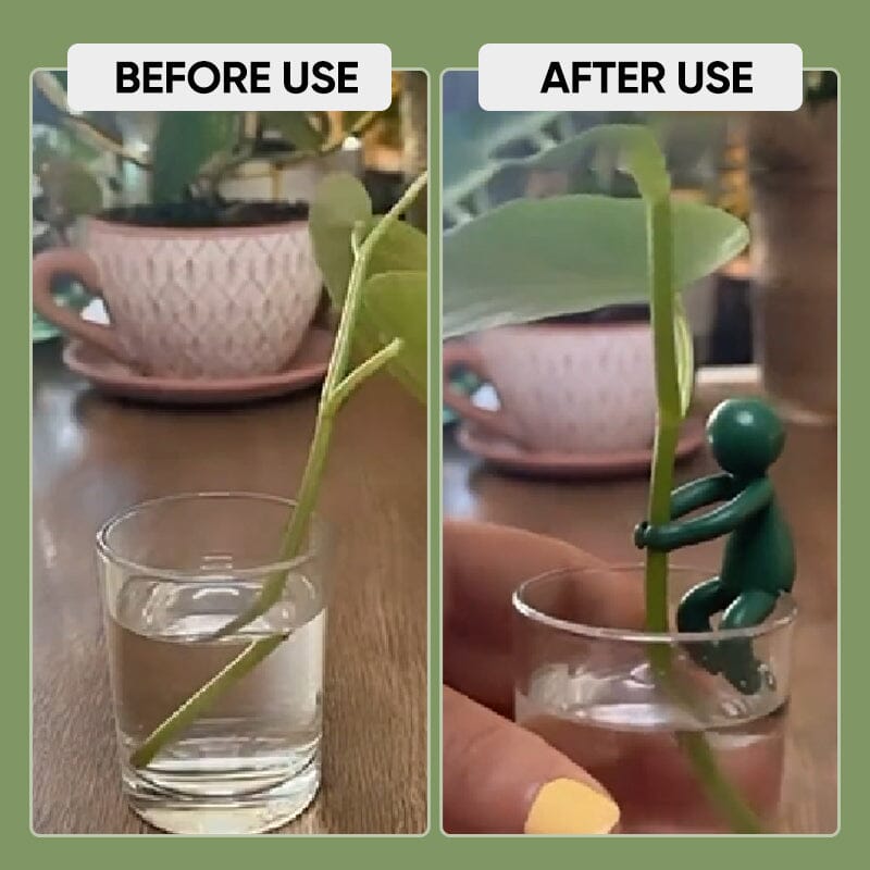 🔥Hot Sale Now - 50% OFF🔥💥3-Pack/Set Plant Cuttings Support & Propagation Buddy