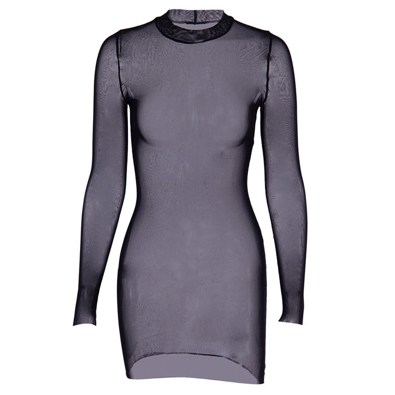 See Through Mesh Long Sleeve Dress