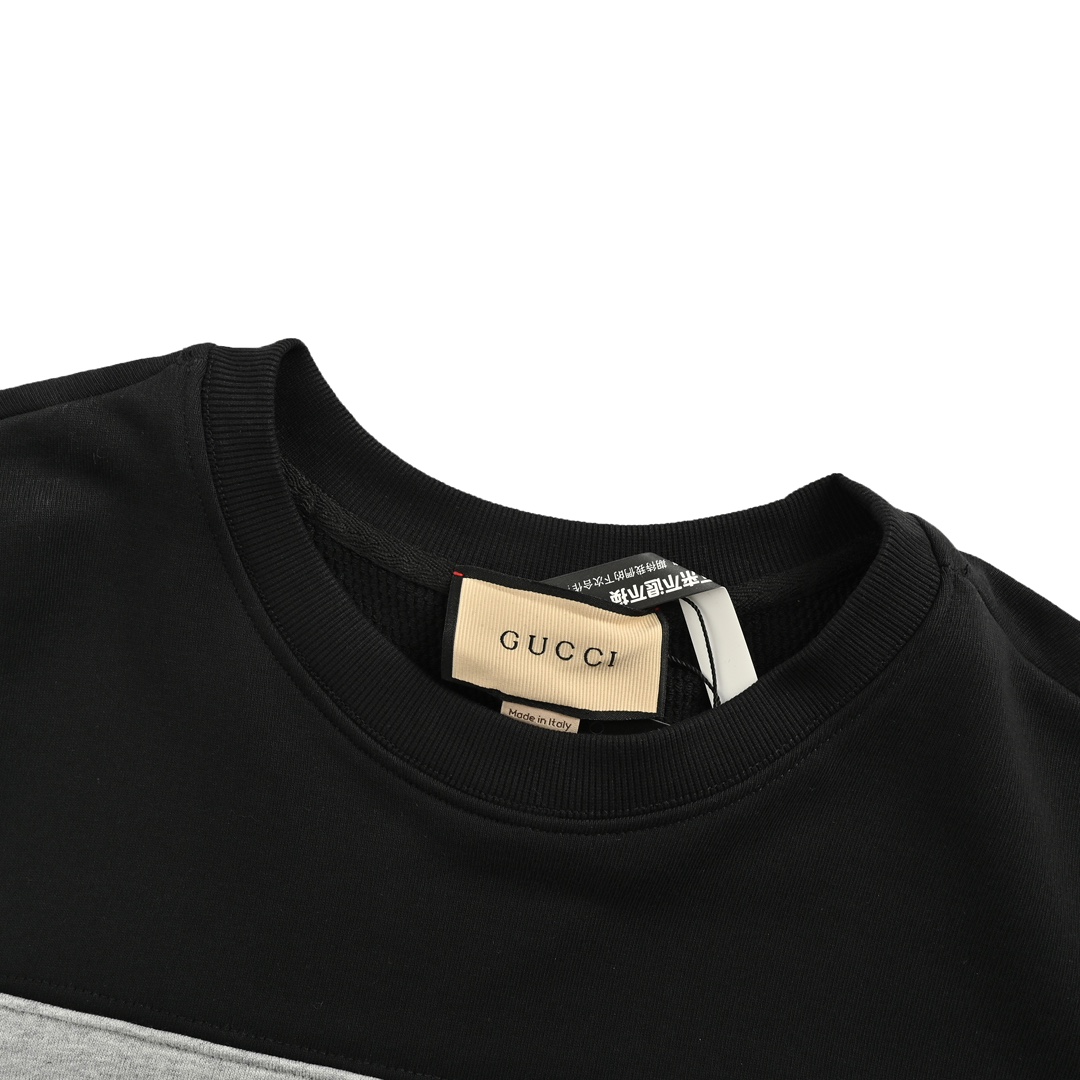 Gucci 24Fw Double G colorblock crewneck sweatshirt