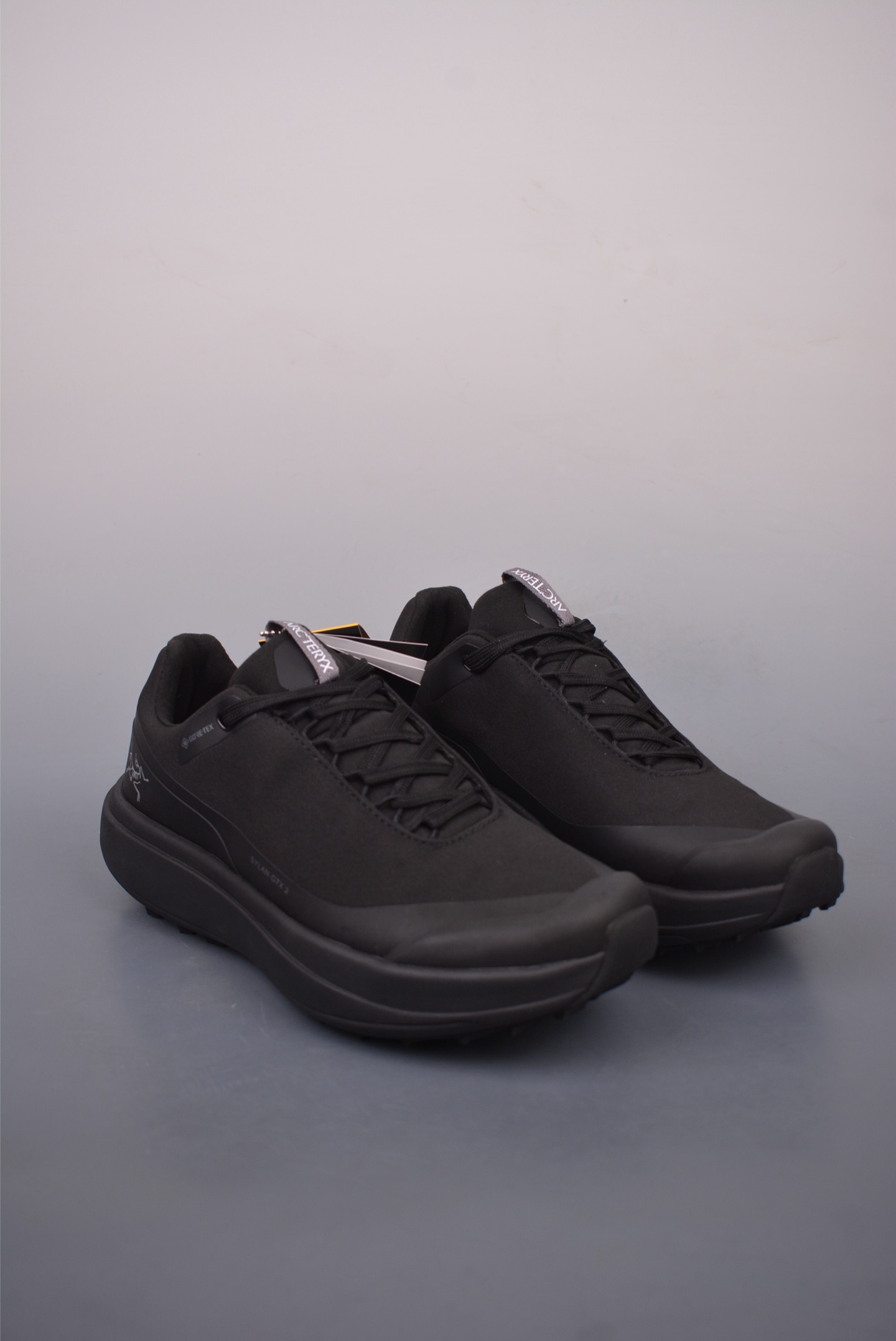 Arc'teryx Sylan GTX Running Shoes Black 077218
