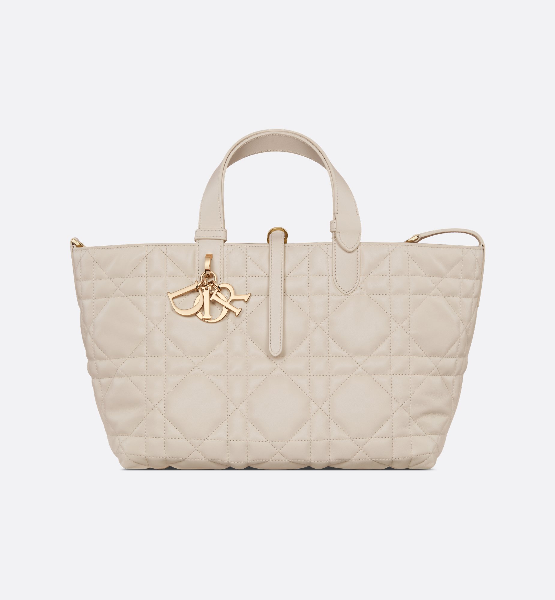 Dior Medium Dior Toujours Bag M2821OSNW_M62U