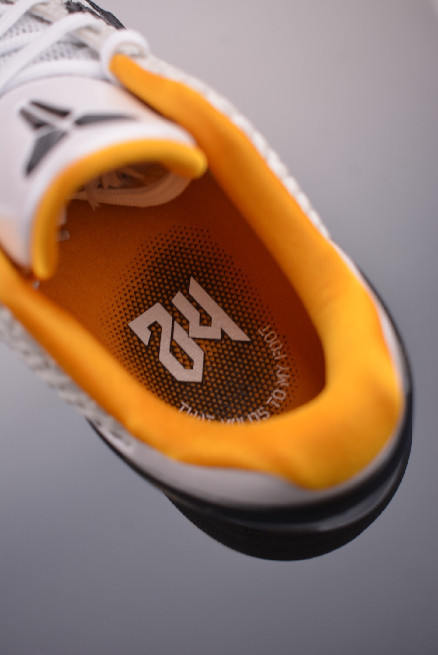 Nike Kobe 6 Protro 