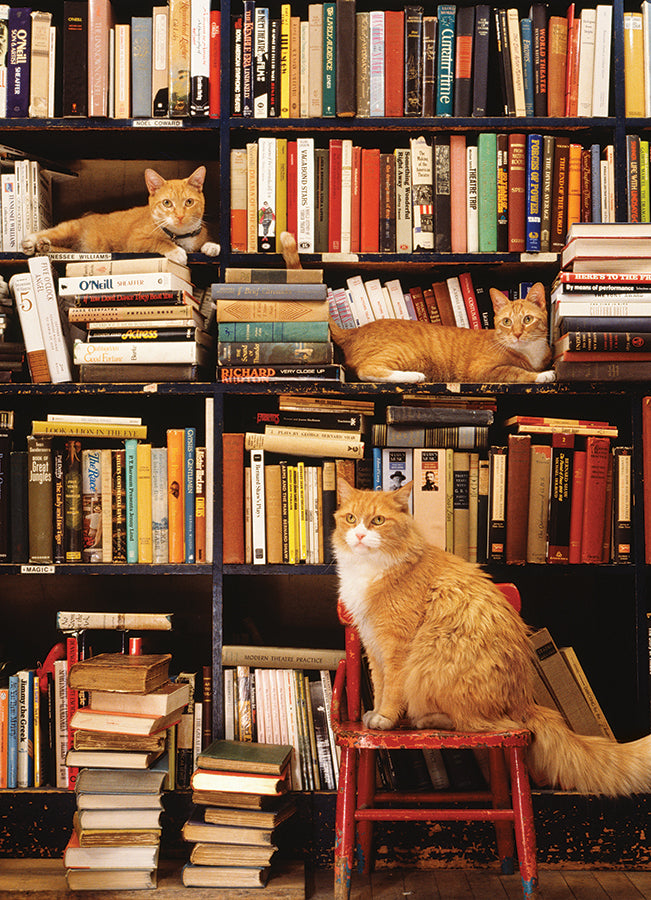 Gotham Bookstore Cats | Discontinued 500 Piece (Old Big Box)