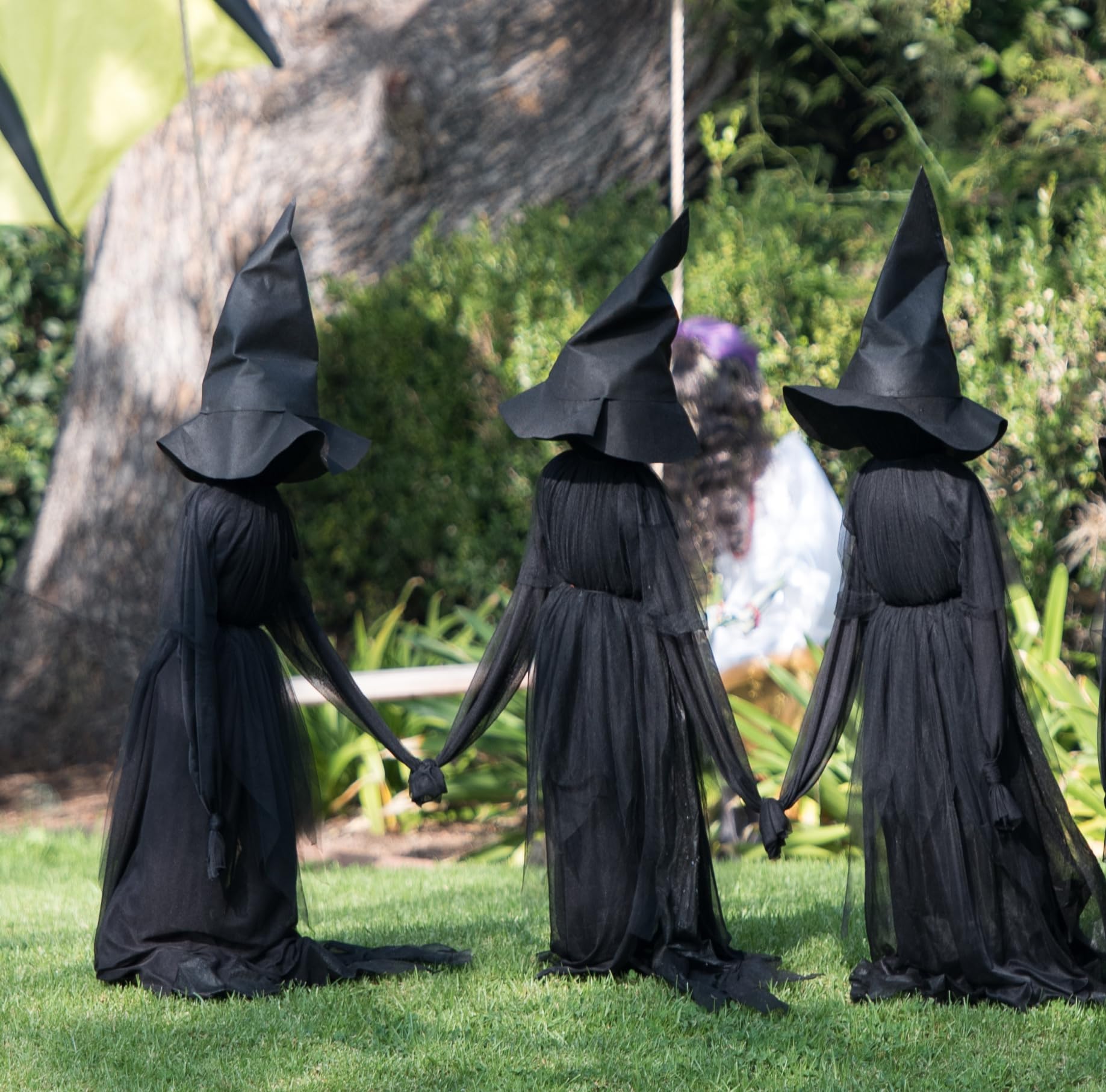 ✨Halloween Lighted Witches with Stakes🧙‍♀️