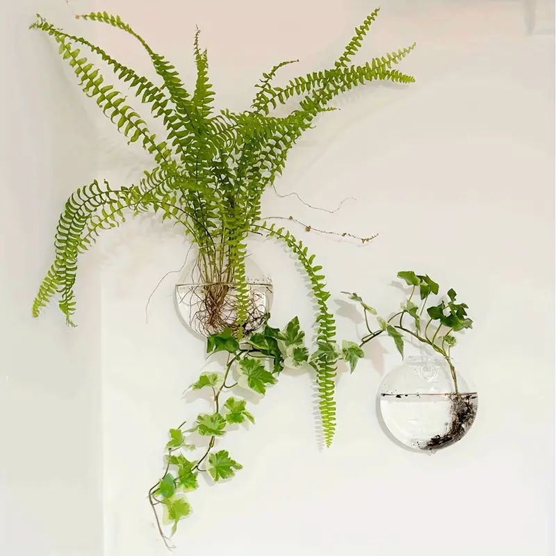 🌺🌺Creative Hanging Wall Glass Vase