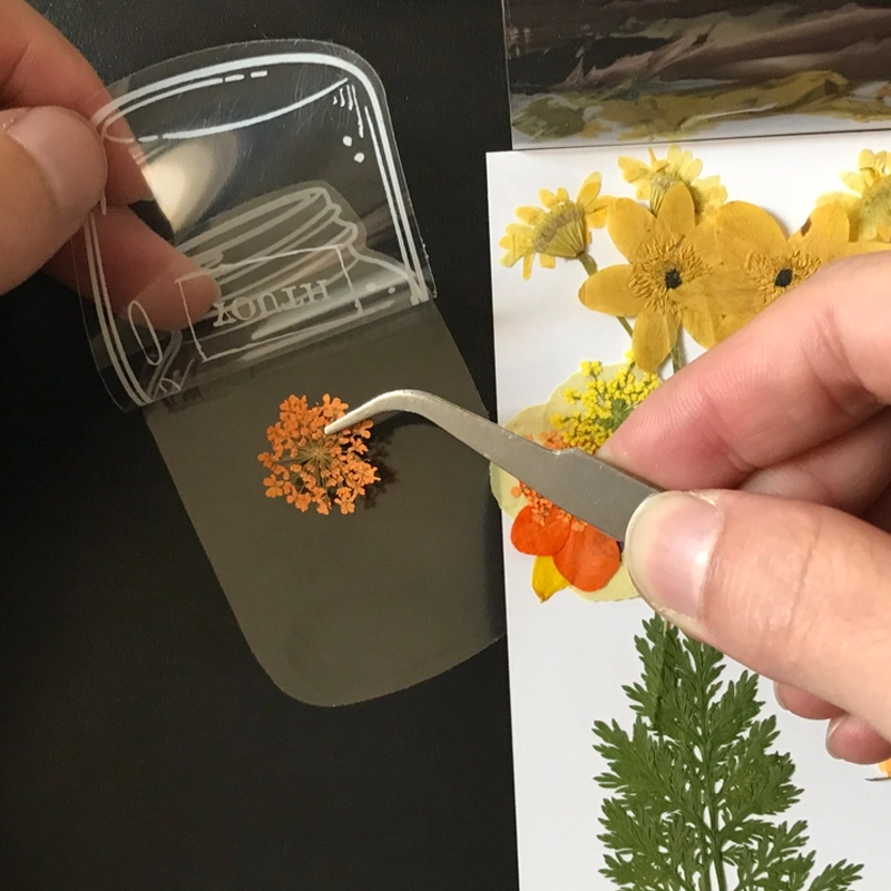 🔥Last Day Promotion-[SAVE 50% OFF]--New Dried Flower Bookmarks Set-BUY 4 GET 10% OFF & FREE SHIPPING