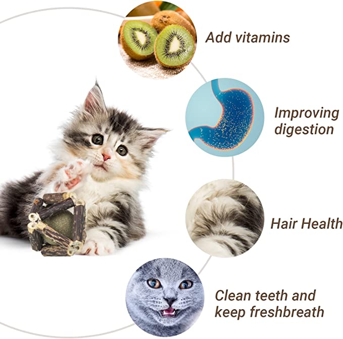 (🔥Last Day 60% OFF)😺-Natural Silvervine Catnip Toys-BUY 5 GET 3 FREE & FREE SHIPPING