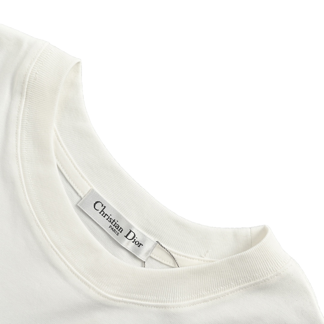 Dior 23ss blue striped letter print short sleeve